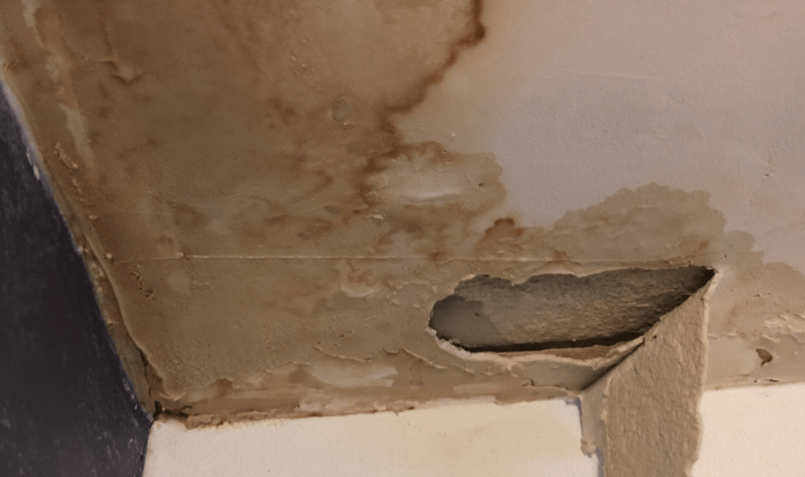 Best Roof Leak Analysis