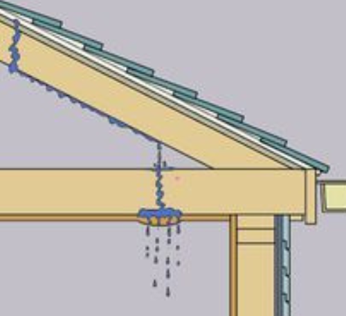 expert Roof Leak Analysis