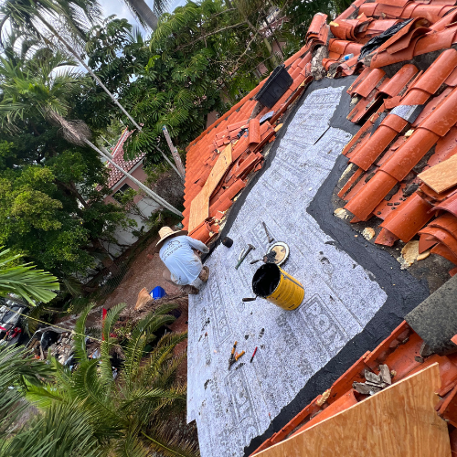 Roof Maintenance Tips